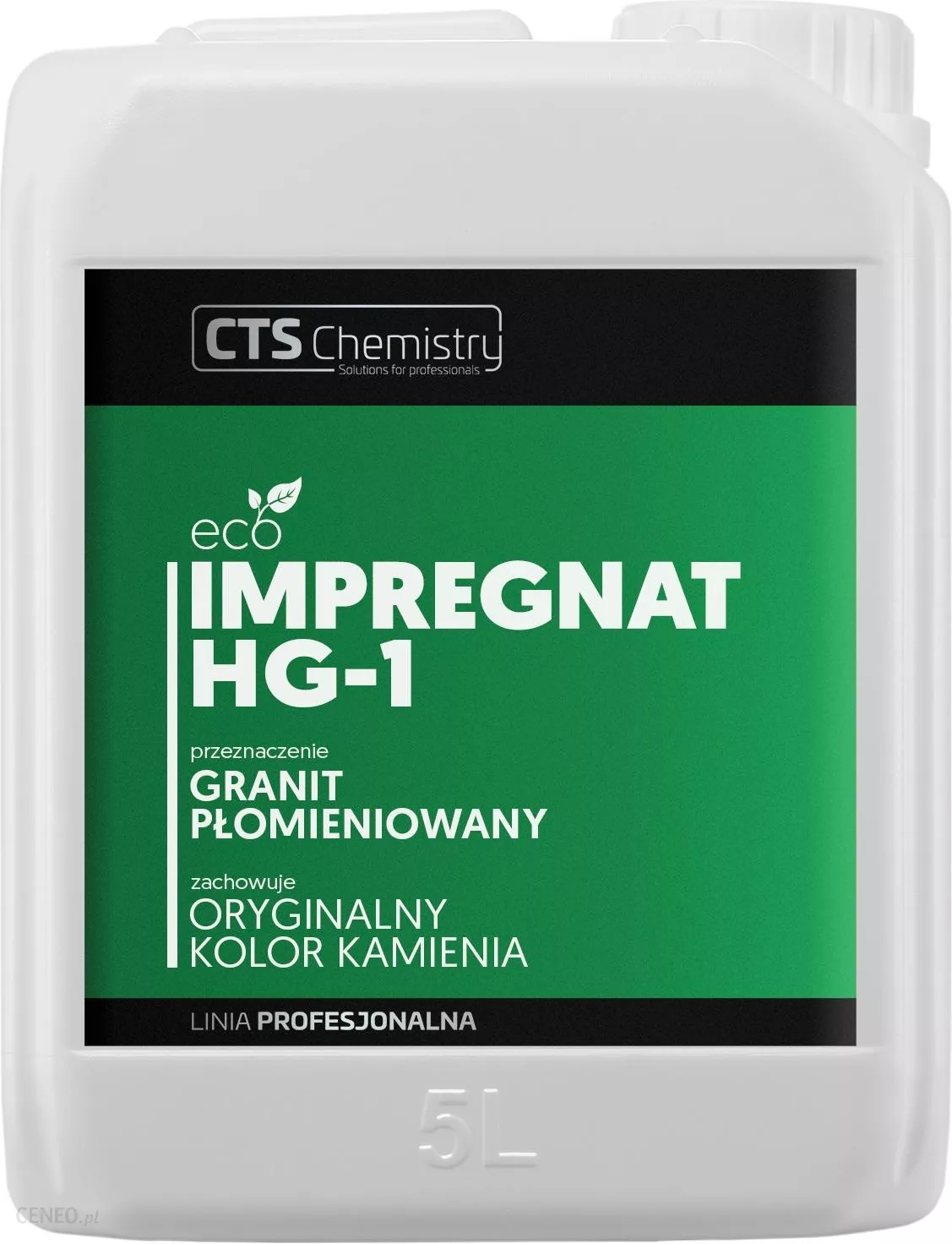 Impregnat do granitu płomieniowanego 5L CTS Chemistry HG-15